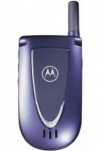  o Motorola V66i